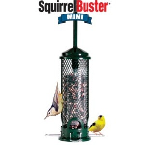 Brome Squirrel Buster Standard 3/4 Qt