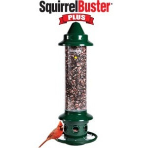Brome Squirrel Buster Plus 3 Qt