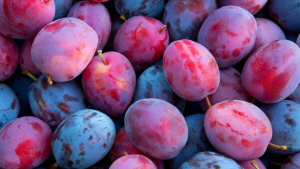 Plums